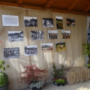 Razstava fotografij ob 50. letnici centralnega gozdnega drevesničarstva na Koroškem