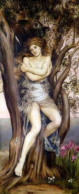 Driade so drevesne nimfe (ženski duhovi), ki izvirajo iz grške mitologije