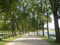 Drevesa ob sprehajalni poti nudijo prijetno senco (Schwerin, Nemčija)