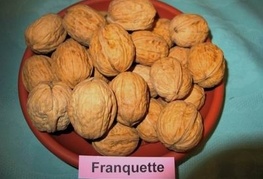 Franquette